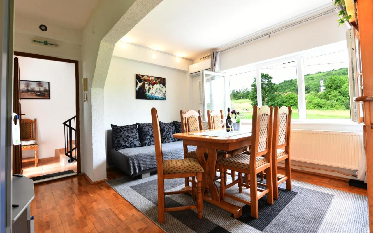 Marija Zupan Apartment Rakovica