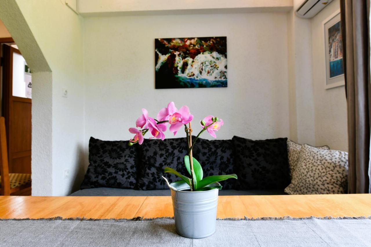 Marija Zupan Apartment Rakovica